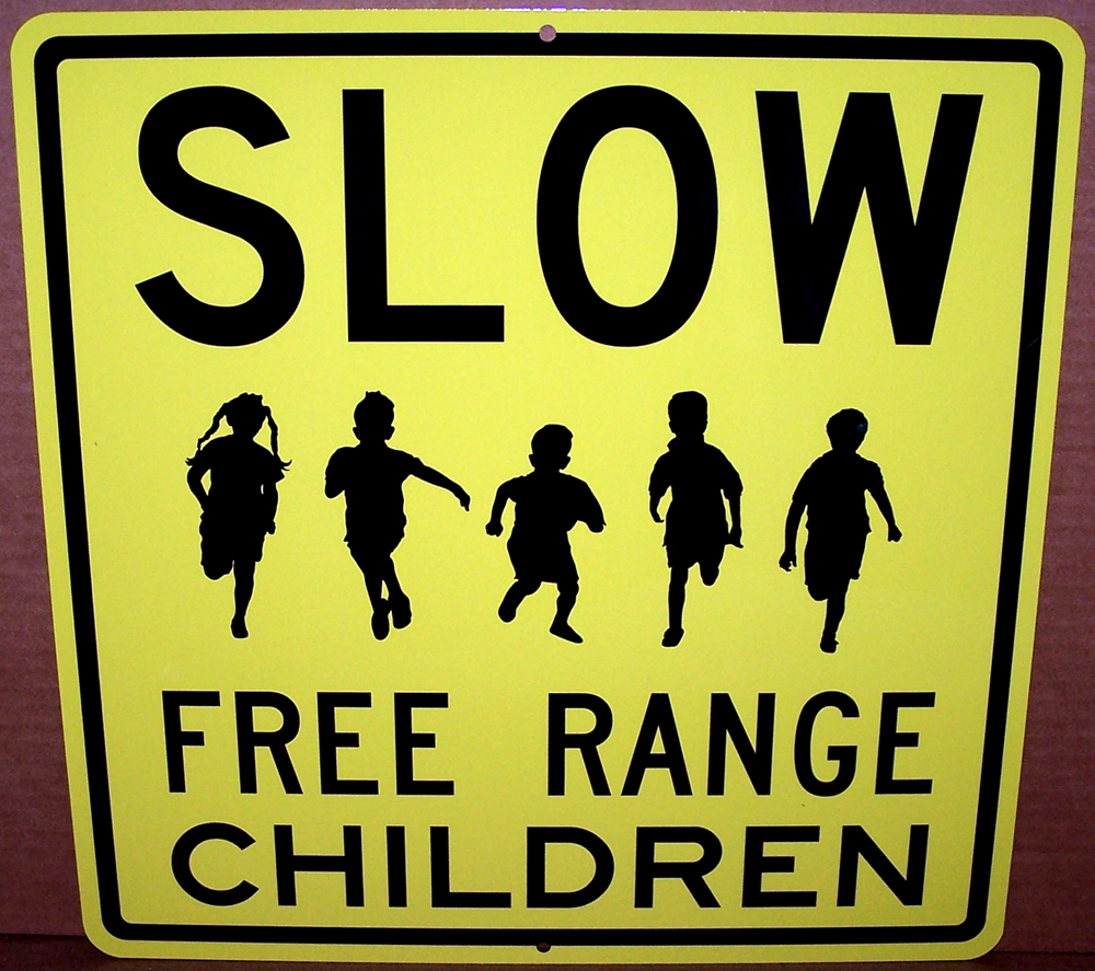 1150HS Caution Free Range Children 5"x10" Aluminum Hanging Novelty Sign